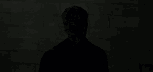 a man with a beard is standing in front of a brick wall in a dark room .
