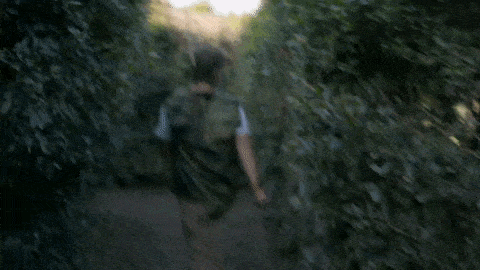 a man is walking through a hedge maze with a knife .