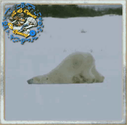 Motivé Feignant GIF - Motivé Feignant Polar Bear GIFs
