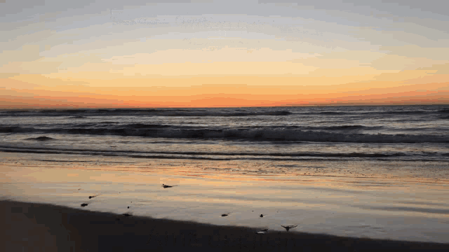 a sunset over the ocean with seagulls on the sand