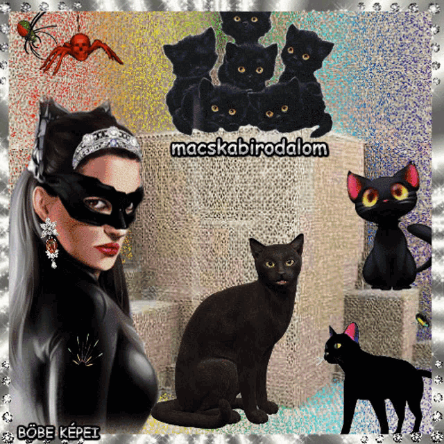 a picture of a woman in a catwoman costume with black cats and the words macskabirodom
