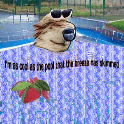 Pubert Im As Cool As The Pool That The Breeze Has Skimmed GIF - Pubert ...