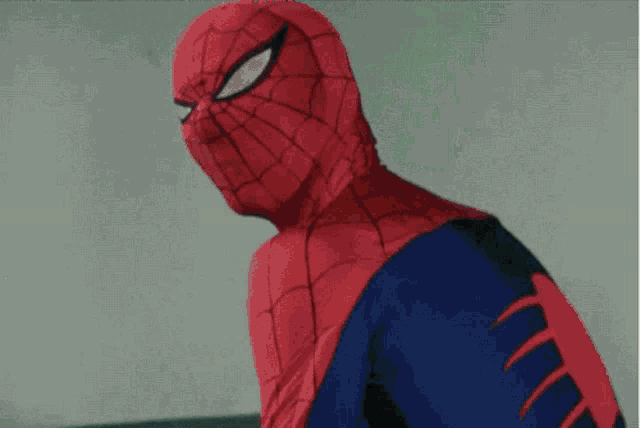a spider is crawling on a wall in the dark