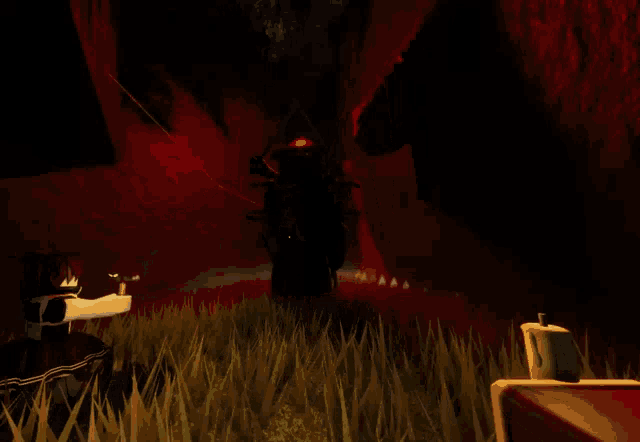 a person is standing in the grass in a dark room with a torch .