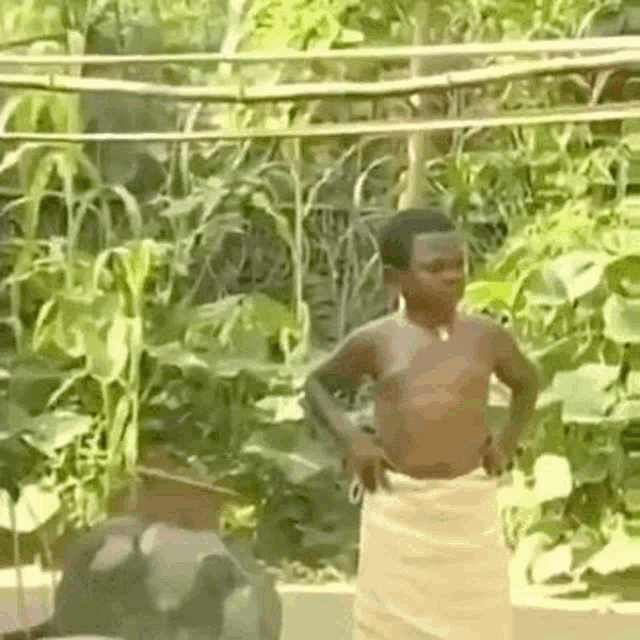 Nollywood Surprised GIF - Nollywood Surprised Black Men GIFs