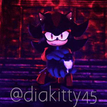 a shadow the hedgehog holding a black cat with a purple background