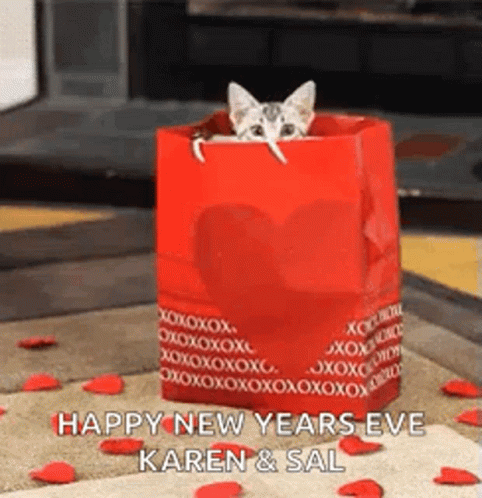 Valentine Cat Kitty GIF - Valentine Cat Kitty Valentine Gift GIFs