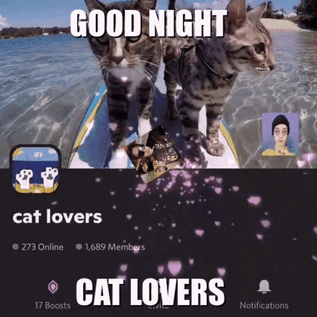two cats on a boat in the water with the words good night cat lovers