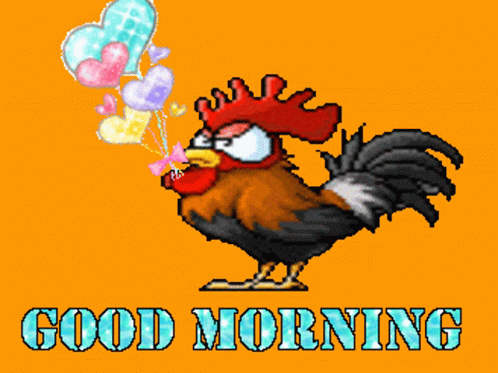 Morning Good Morning GIF - Morning Good Morning Chicken GIFs