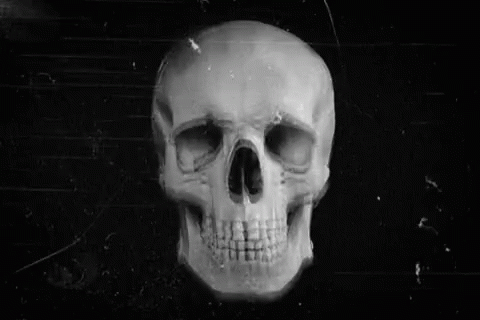 Ayye Skeleton GIF - Ayye Skeleton GIFs