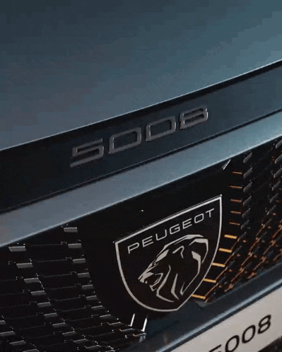 a close up of a peugeot logo on a black car