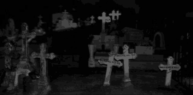a black and white photo of a cemetery with a few crosses