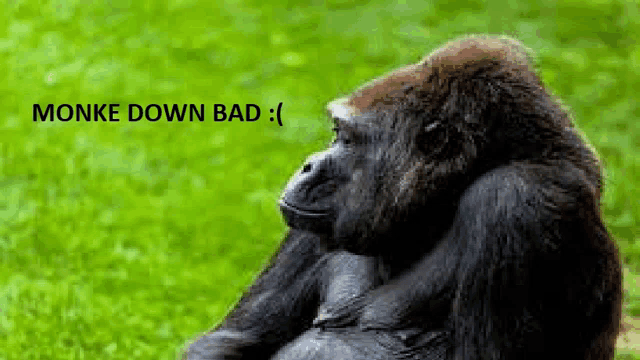 a gorilla is sitting in the grass with its head resting on its hands .
