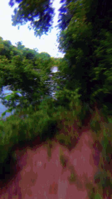 a painting of a river with trees in the background