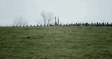 a group of soldiers are standing in a grassy field