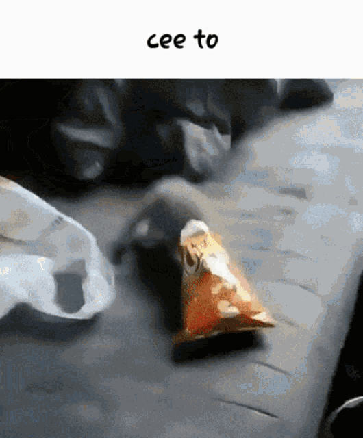 Cee To Cat GIF - Cee To Cat Cheetos GIFs