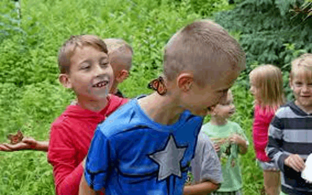 a group of children are standing in the grass looking at butterflies .
