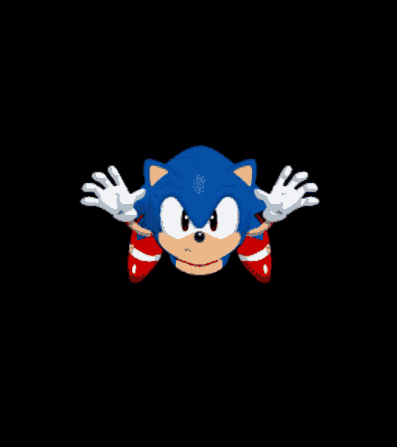 a cartoon of sonic the hedgehog flying through the air on a black background