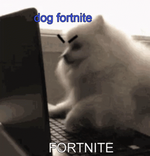 Dog Fortnite GIF - Dog Fortnite GIFs