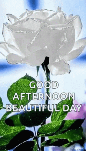 Good Afternoon Beautiful Day GIF - Good Afternoon Beautiful Day Sparkles GIFs