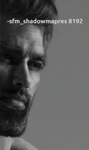 a black and white photo of a man with the caption -sfm_shadowmapres 8194