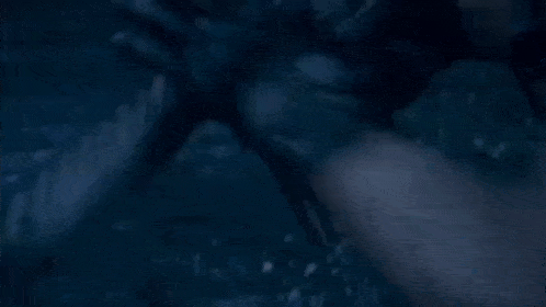 a person is holding a rifle in the water .
