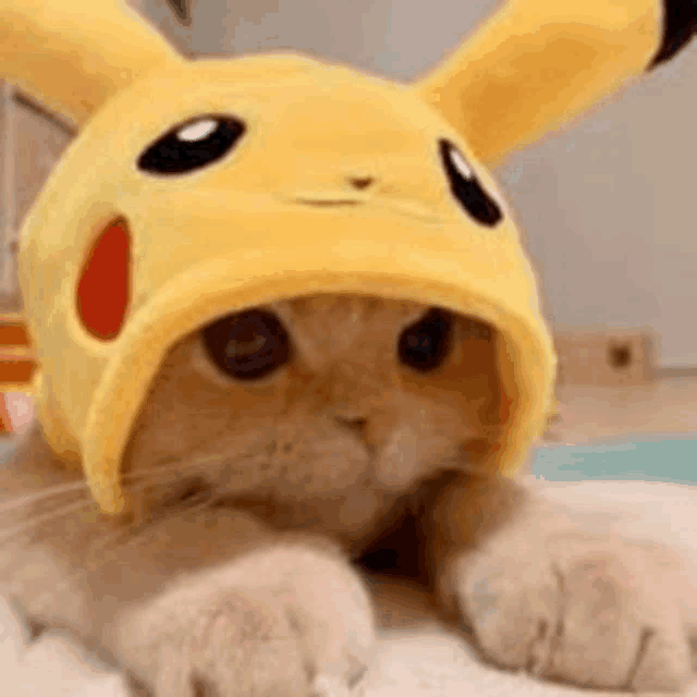 a cat is wearing a pikachu hat .
