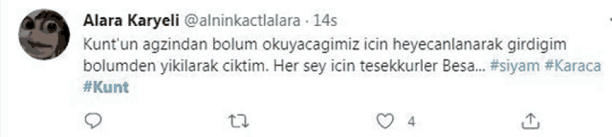 a screenshot of a tweet from a person named alara karyeli .