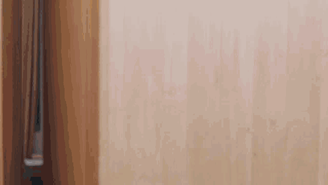 a person is standing in front of a wooden door .