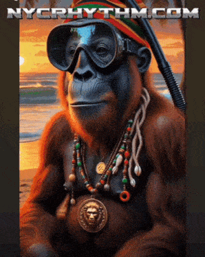 Nycrhythm Reggae Reggae Nycrhythm GIF