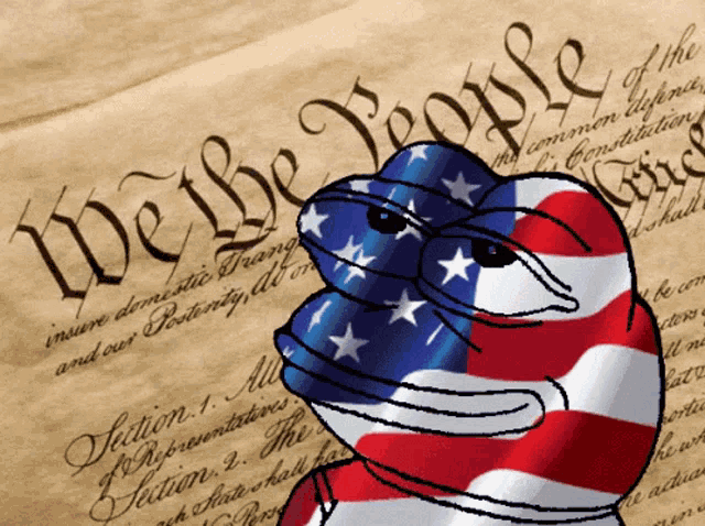 a drawing of a frog with an american flag covering its face with the words we the people