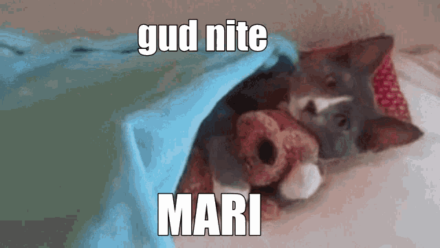 Goodnight Mari Mari GIF - Goodnight Mari Mari GIFs