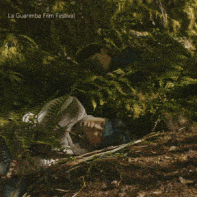 a poster for la guarimba film festival shows two people laying in the woods