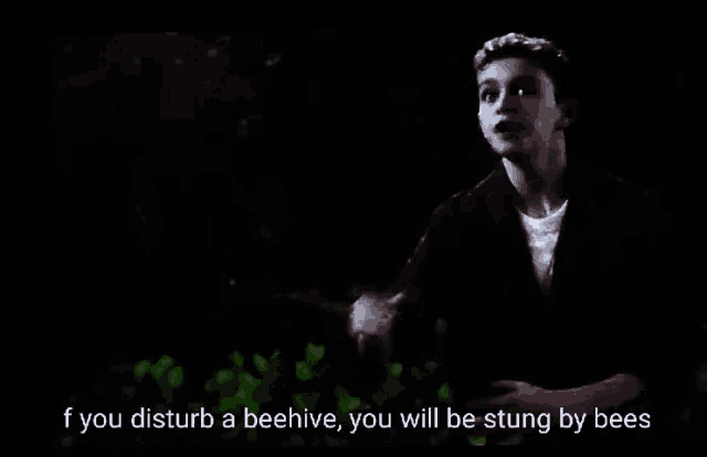 a man is standing in the dark with the words " if you disturb a beehive you will be stung by bees "