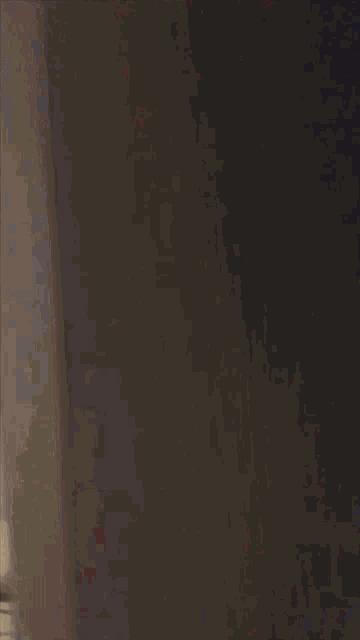 a man in a red shirt is standing in a room