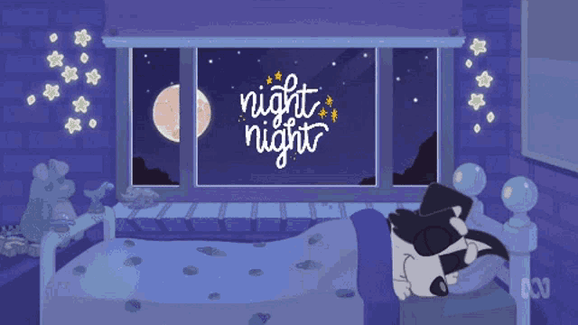 a cartoon of a raccoon sleeping in front of a window with the words night night on it