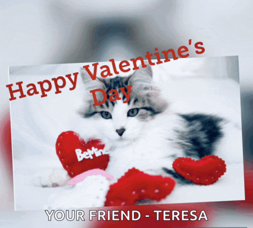 a valentine 's day card with a cat and hearts and the name teresa