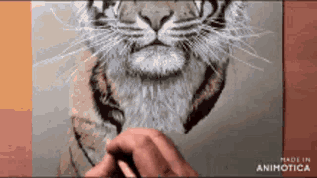 a person is drawing a tiger with a brush